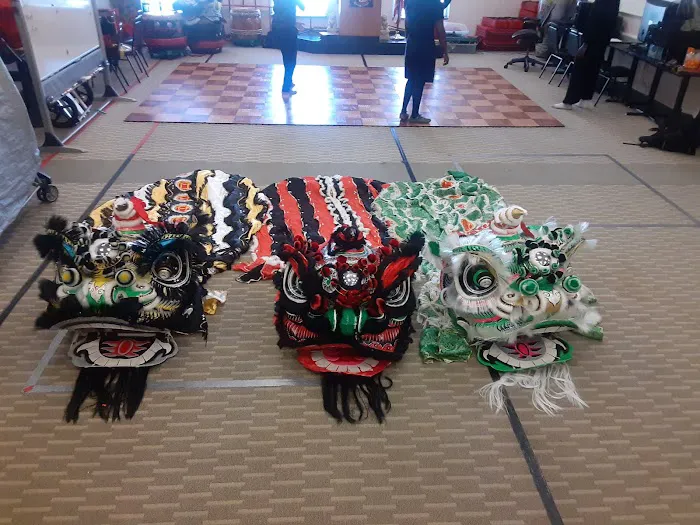 Lion / Dragon Dance Washington DC Picture 3