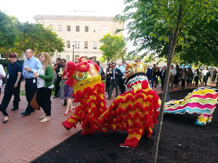 Lion / Dragon Dance Washington DC Picture 8