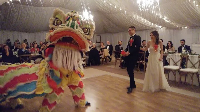 Lion / Dragon Dance Washington DC Picture 9