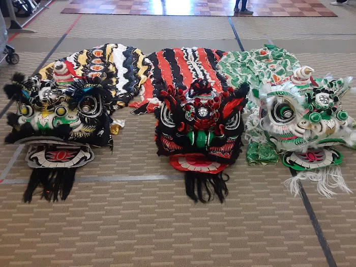 Lion / Dragon Dance Washington DC Picture 7