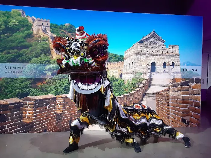 Lion / Dragon Dance Washington DC Picture 6