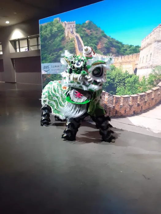 Chinatown Lion Dancers Picture 3