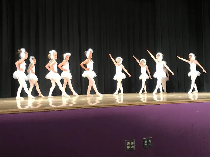 School for Swans Picture 5