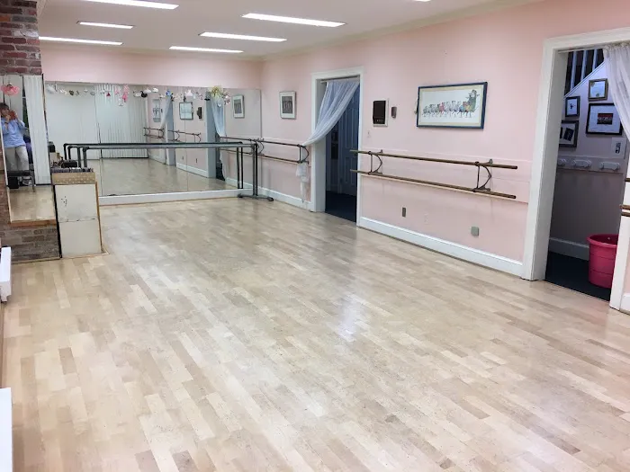School for Swans Picture 2
