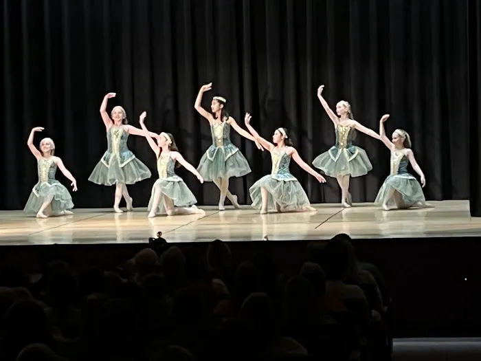 School for Swans Picture 9