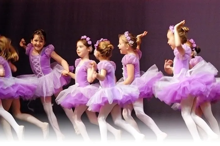 School for Swans Picture 8