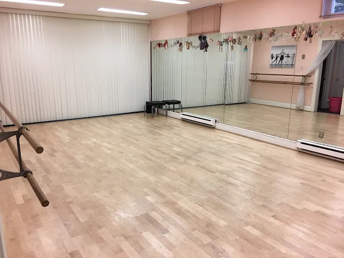 School for Swans Picture 6