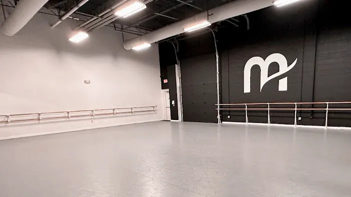 Metropolitan School of the Arts Picture 1