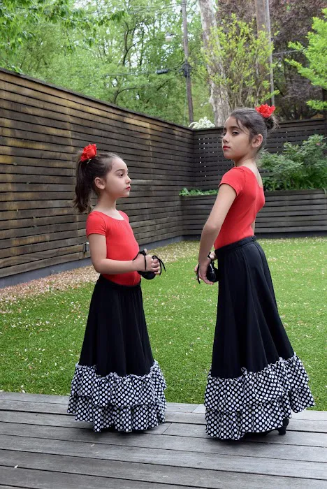 Flamenco 4 Kids! Picture 5