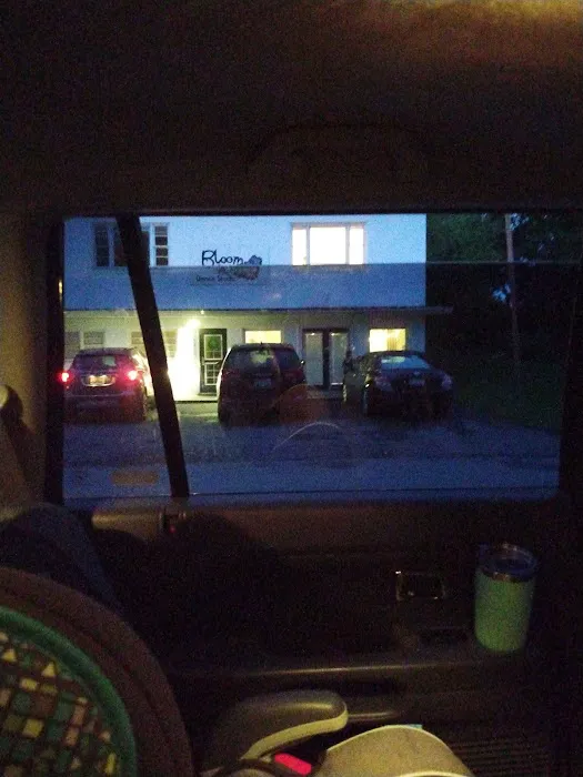 Bloom Dance Studio Picture 4