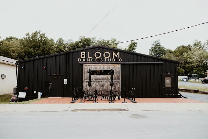 Bloom Dance Studio Picture 3