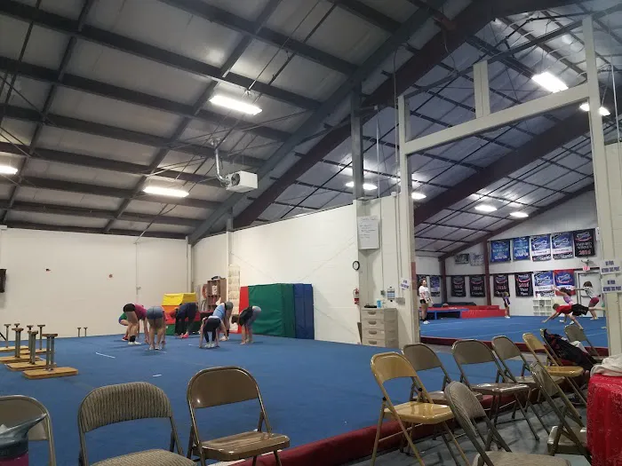 USA Stars Cheer and Dance Picture 4