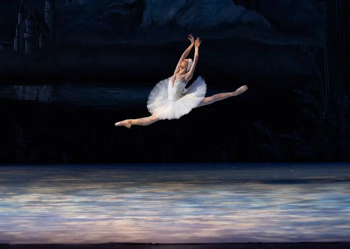Central Pennsylvania Youth Ballet Picture 8