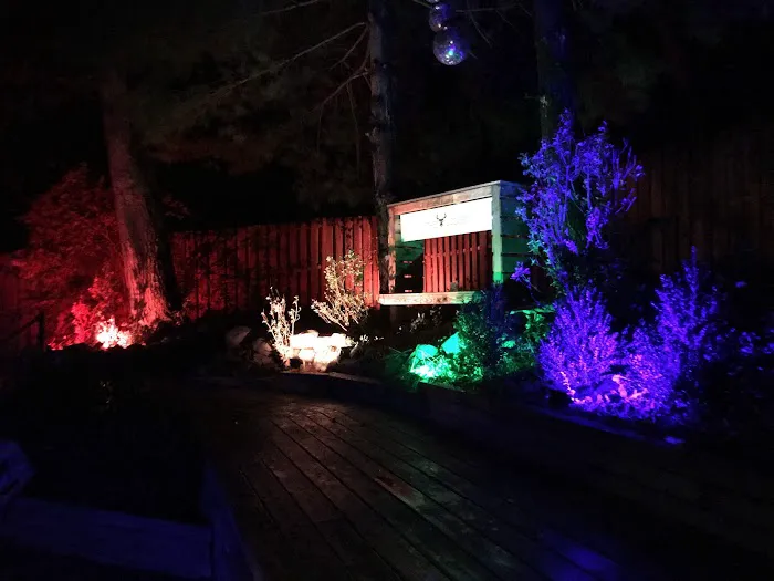 The Lodge Show + Dance Club & Summer Patio Picture 1