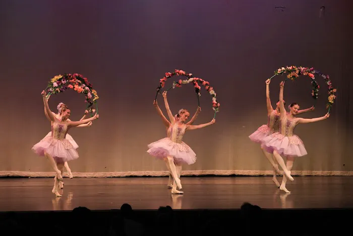 Viktor Yeliohin International Ballet Academy Picture 3