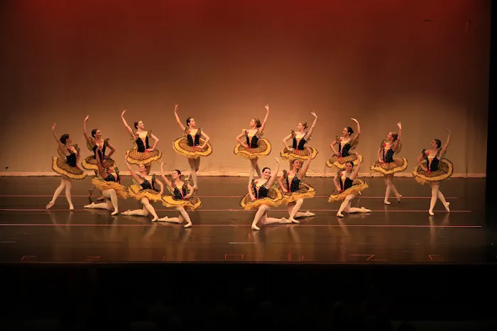 Viktor Yeliohin International Ballet Academy Picture 1