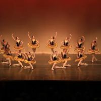Viktor Yeliohin International Ballet Academy ico