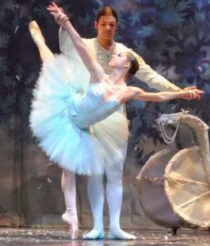 The Dance Center Picture 1