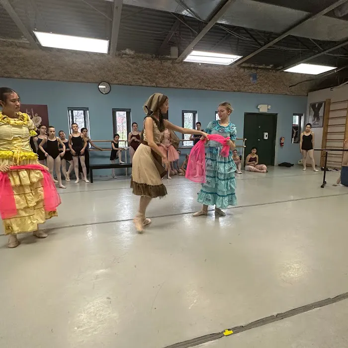 Academy of International Ballet Picture 2