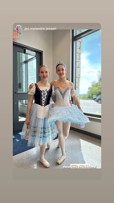 Academy of International Ballet Picture 5