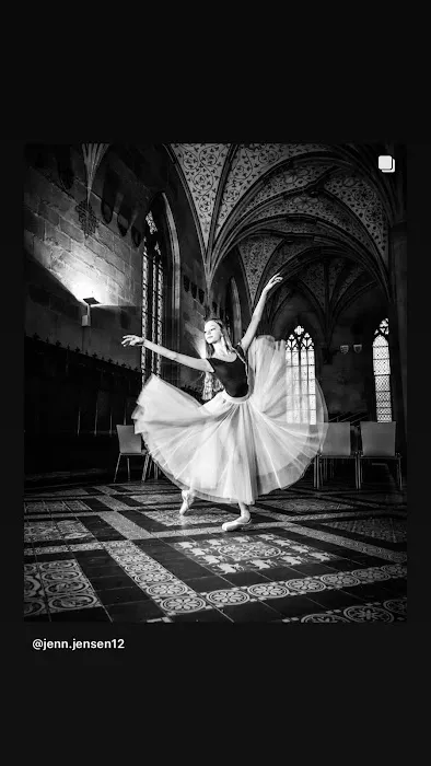 Academy of International Ballet Picture 6