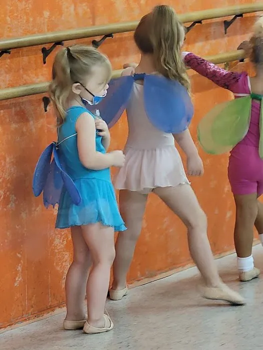Best of Entertainment Dance Academy Picture 4