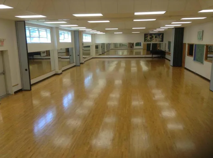 The Arts of the Dance Centre Picture 4