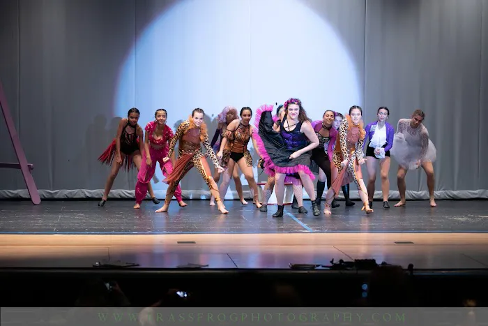 The Arts of the Dance Centre Picture 5