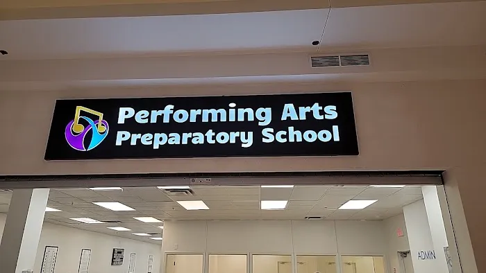 Performing Arts Preparatory School Picture 4