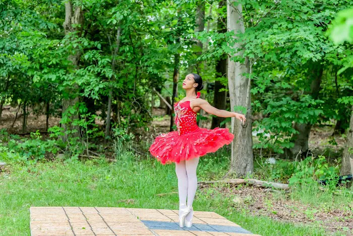 The Oh! Ballet Arts Academy Inc Picture 9