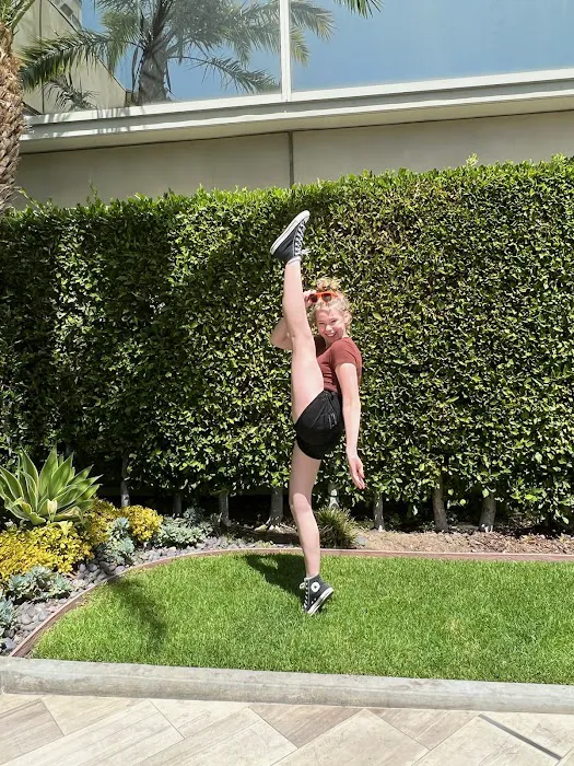 D'Ann Danse Studios Picture 5