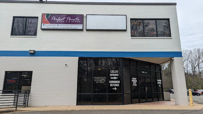 Perfect Pointe Music & Dance of Springfield, VA Picture 3
