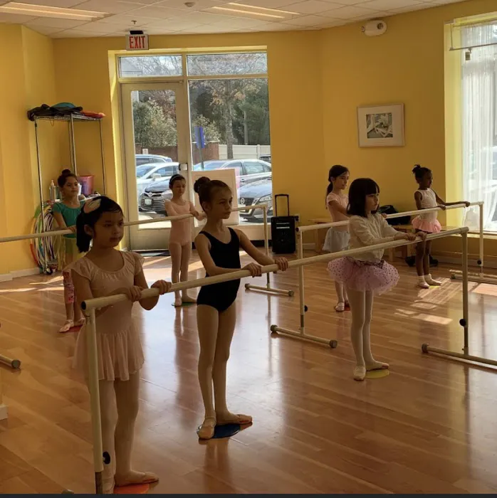 Destiny Dance Company LLC Picture 4