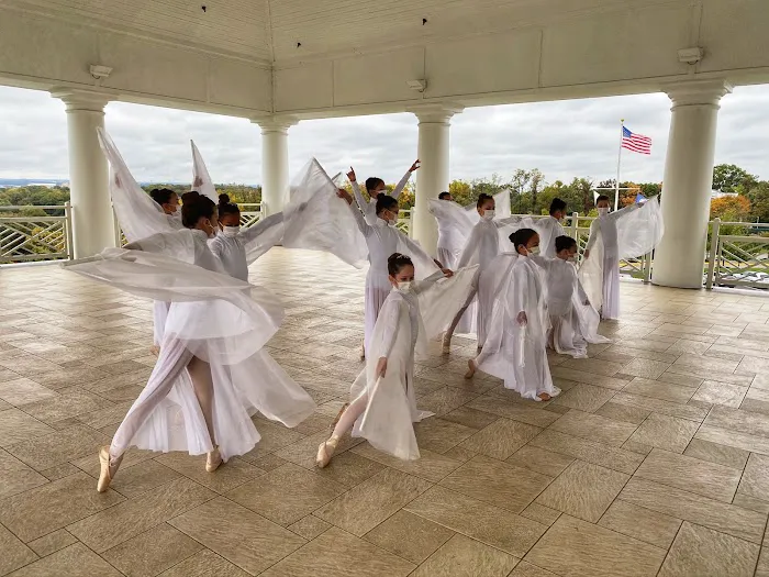 Dance Academy of Virginia Picture 4