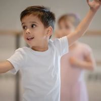 Virginia Dance Conservatory ico