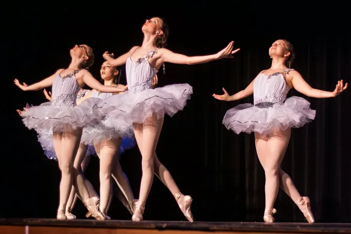 Perfect Pointe Dance Studio Picture 5