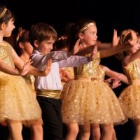 Perfect Pointe Dance Studio ico