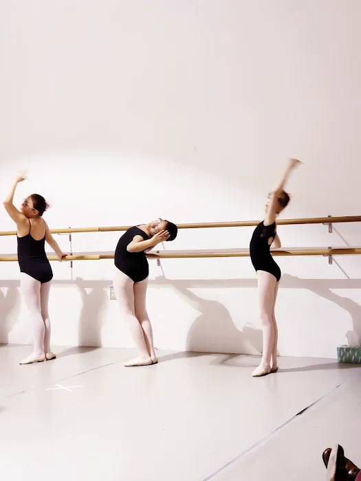 Ashburn Academy of Dance Picture 4