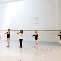 Ashburn Academy of Dance ico