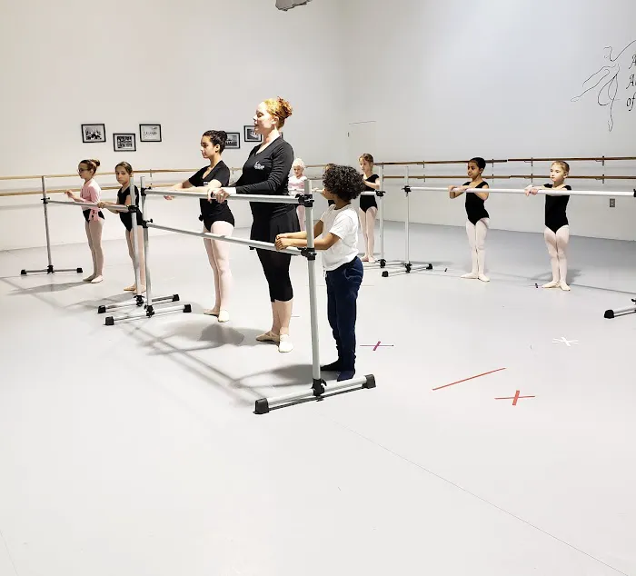 Ashburn Academy of Dance Picture 7