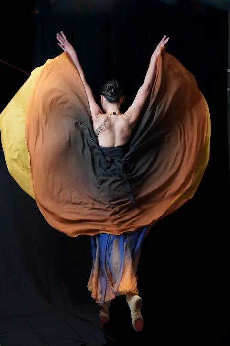 Xuejuan Dance Ensemble Picture 1