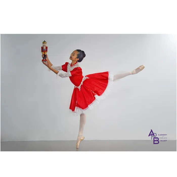 Academy Of Russian Ballet Picture 3