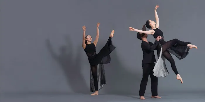 Dana Tai Soon Burgess Dance Company Picture 1