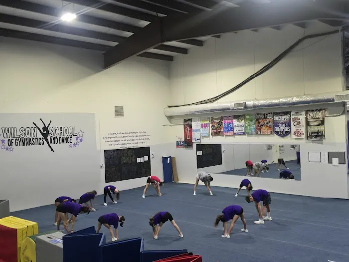 Wilson School of Gymnastics and Dance Picture 5