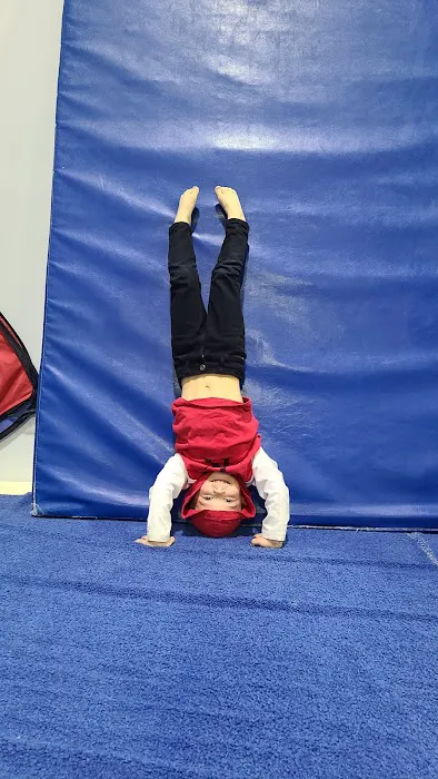 Wilson School of Gymnastics and Dance Picture 8