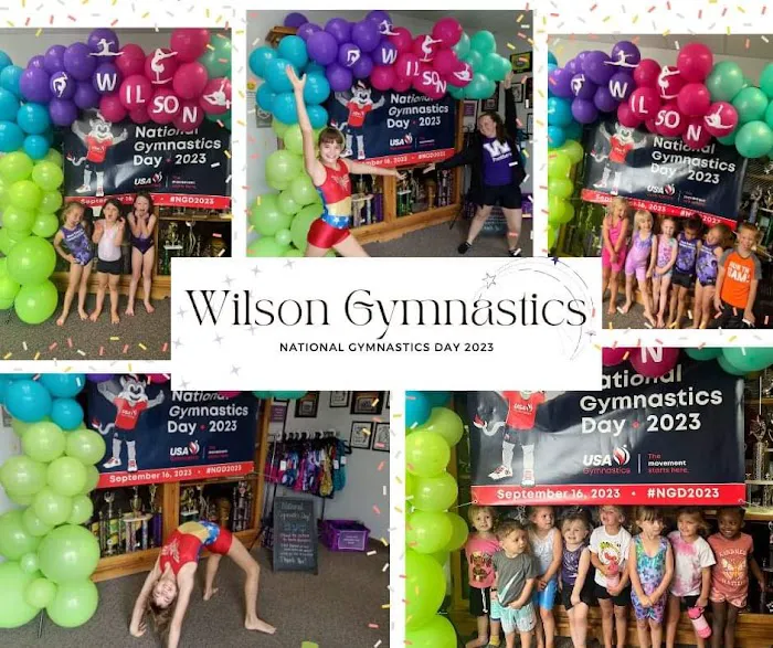 Wilson School of Gymnastics and Dance Picture 9