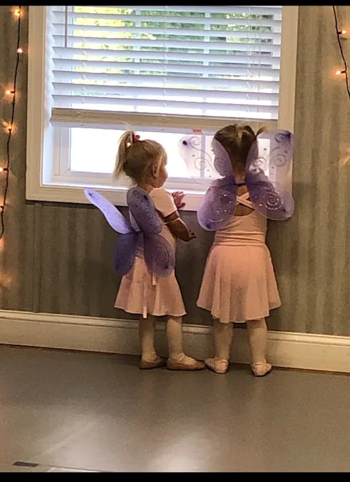 Dee Dots Dance Academy Picture 4