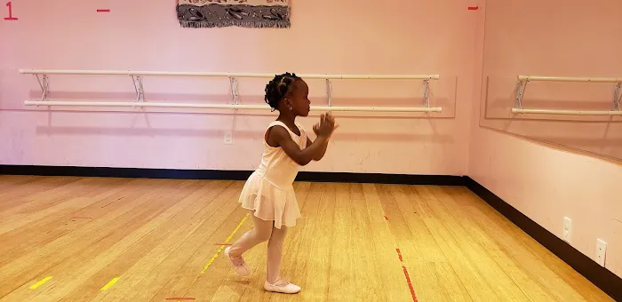 Dance Inc Center for the Arts Picture 2