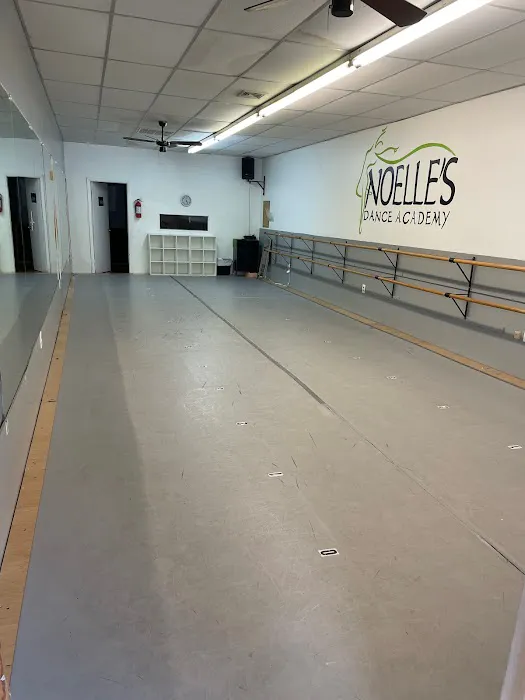 Noelle's Dance Academy Picture 9