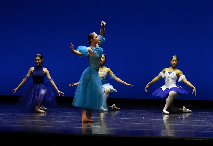 International Dance, LLC. Picture 9